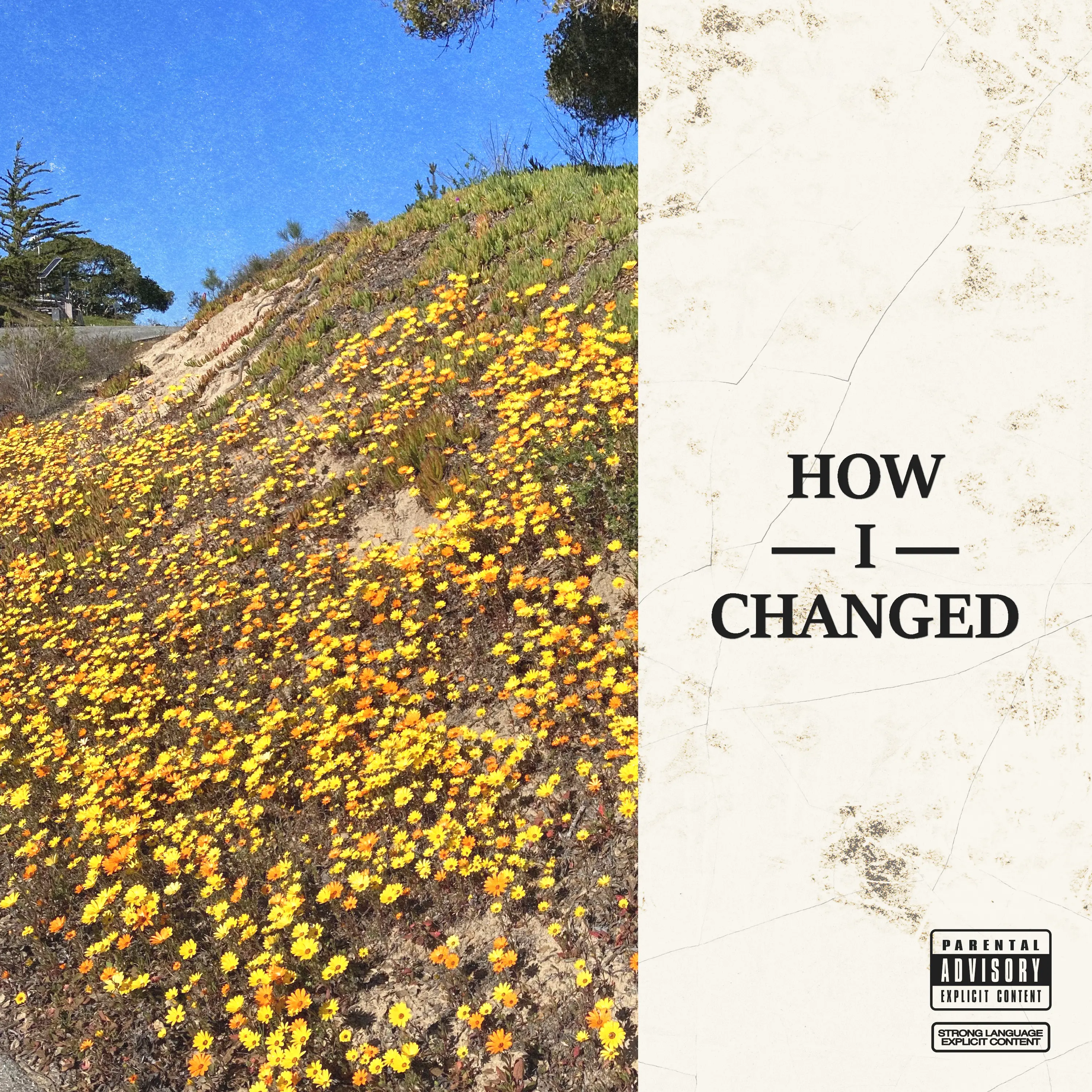 how i changed - AMZBDT